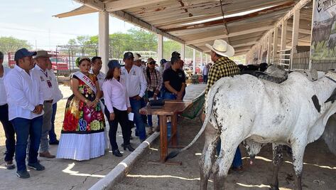 En medio de un conflicto con la Marina, inauguran exposición ganadera y agrícola en el Istmo de Oaxaca 