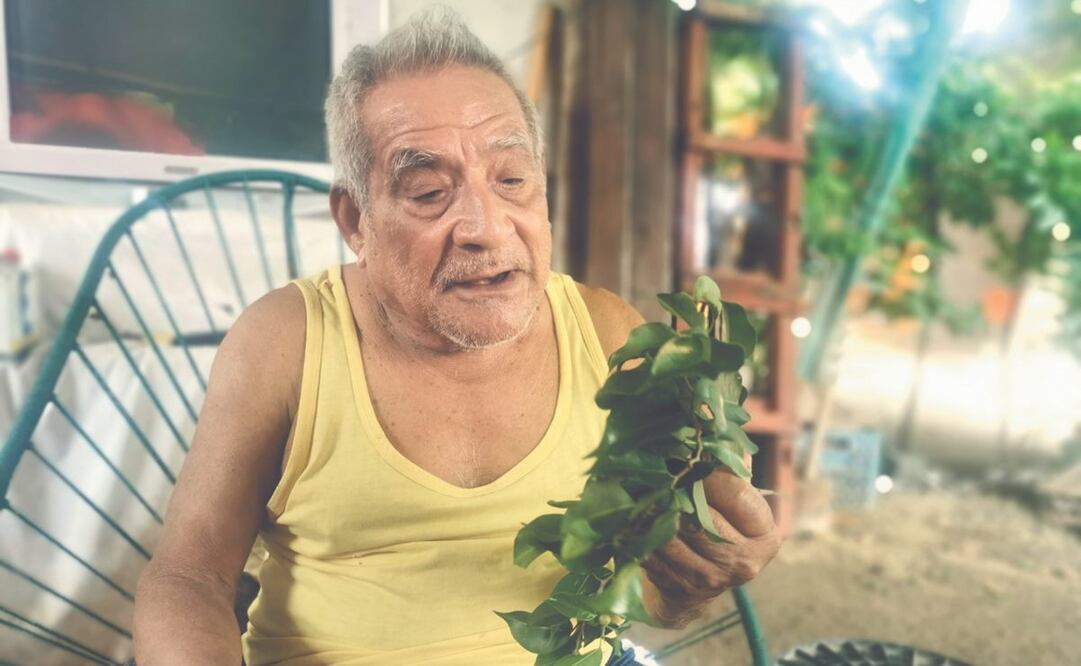 Cándido Orozco, el zapoteco que arranca bellas melodías a simples hojas de laurel