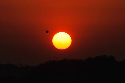 Alertan en Cuenca del Papaloapan por ola de calor que alcanza hasta 45 grados