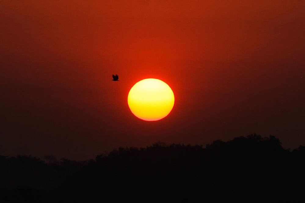 Alertan en Cuenca del Papaloapan por ola de calor que alcanza hasta 45 grados. Fotos: Edwin Hernández