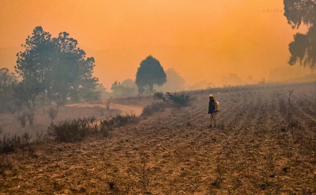 Incendios forestales en Oaxaca. Foto: Especial