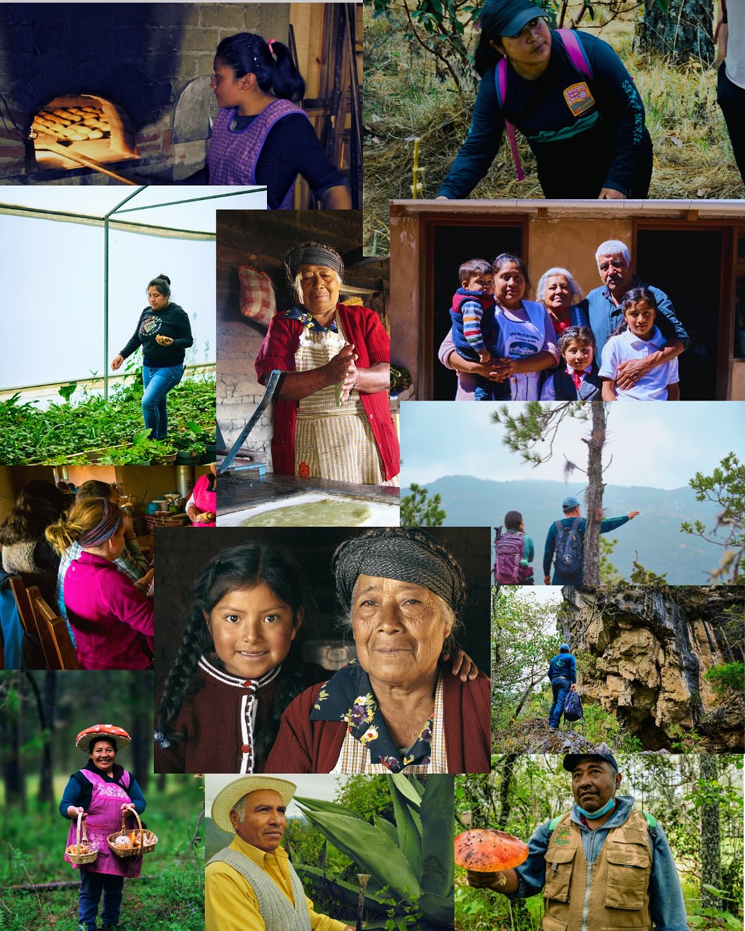 Pueblos mancomunados en México. Foto: Instagram, @expediciones_sierra_norte