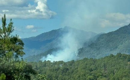 Reportan incendio forestal fuera de control en Juxtlahuaca, Oaxaca; piden apoyo urgente
