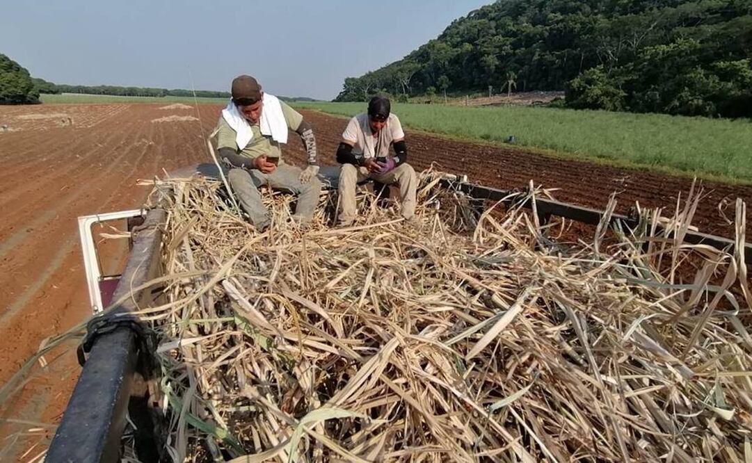 Tras “algunos decesos” instalan en Tuxtepec, Oaxaca, Comité de Salud para prevenir golpes de calor