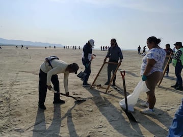 Comunidad de Salinas del Marqués detiene saneamiento de playa; acusa exclusión de empleo temporal 
