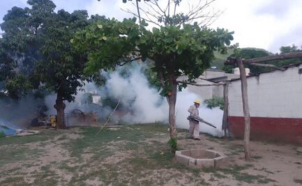 Proliferación de dengue pone en alto riesgo a cuatro municipios del Istmo de Oaxaca