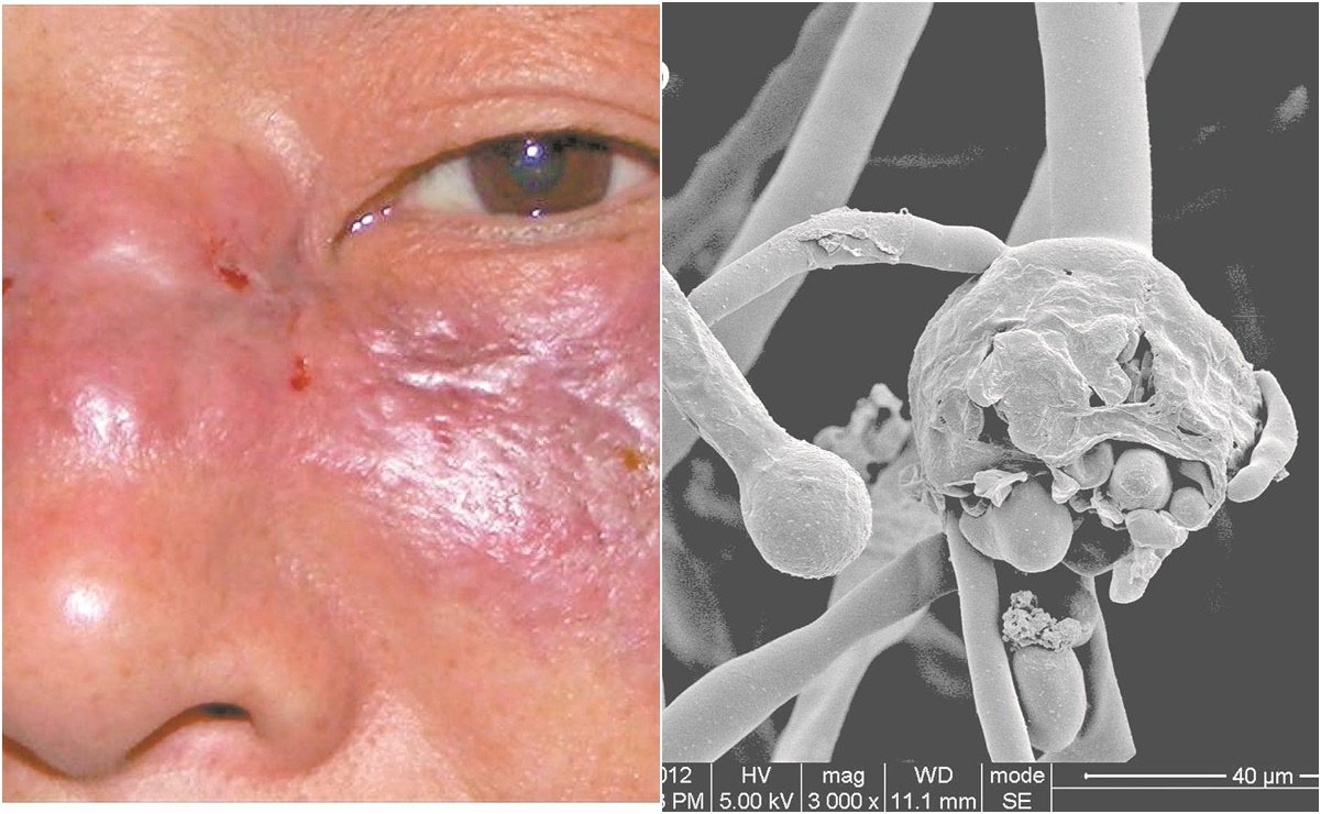 Foto: Archivo El Universal