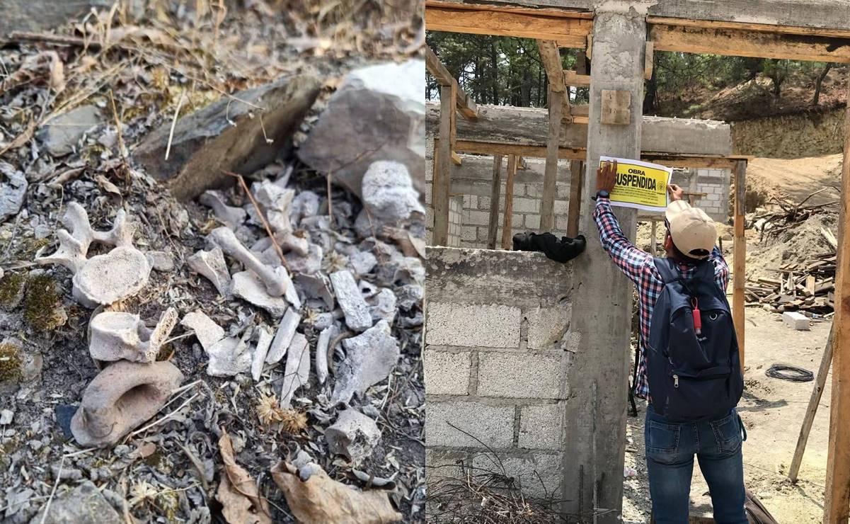 Denuncian saqueo de vestigios en el Cerro Encantado de Tlaxiaco, Oaxaca