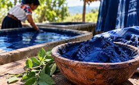 Qué es el añil y cómo se obtiene este famoso colorante artesanal de Oaxaca