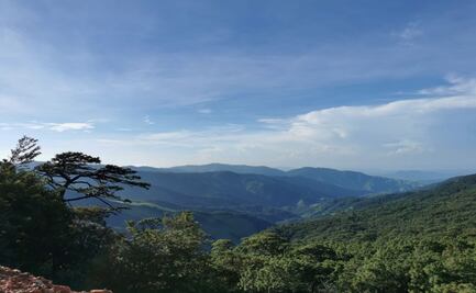 Firman manifiesto internacional contra minera canadiense en selva de Los Chimalapas
