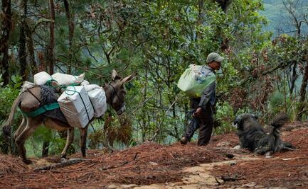 Ubisort prevé movilizaciones para exigir la terminación de carretera a Unión de los Ángeles Copala