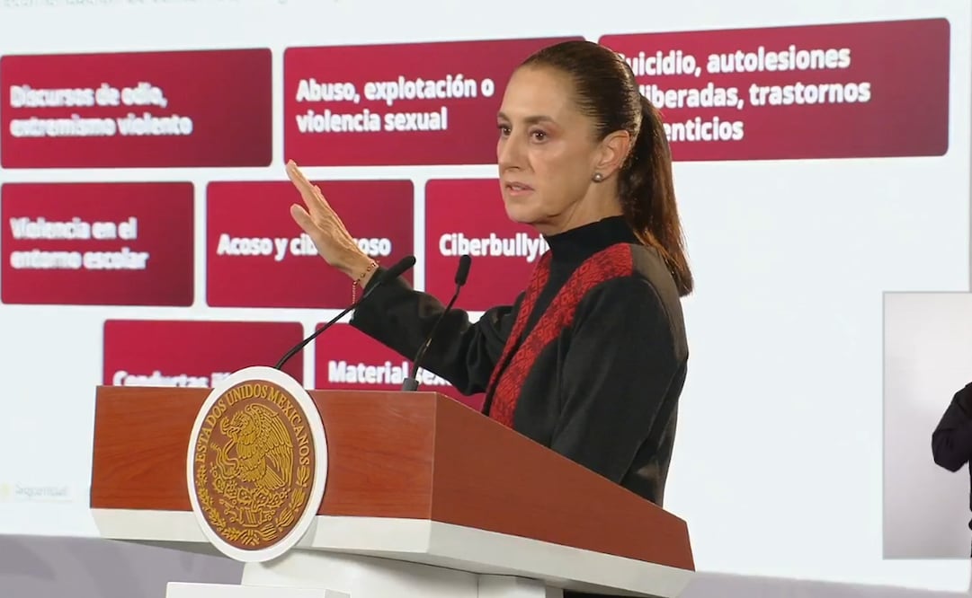 Sheinbaum presenta decreto sobre plataformas digitales. Foto: Captura de video