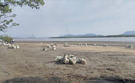 Pescadores y autoridades de Salina Cruz acusan a Pemex de mentir sobre contaminación en La Ventosa