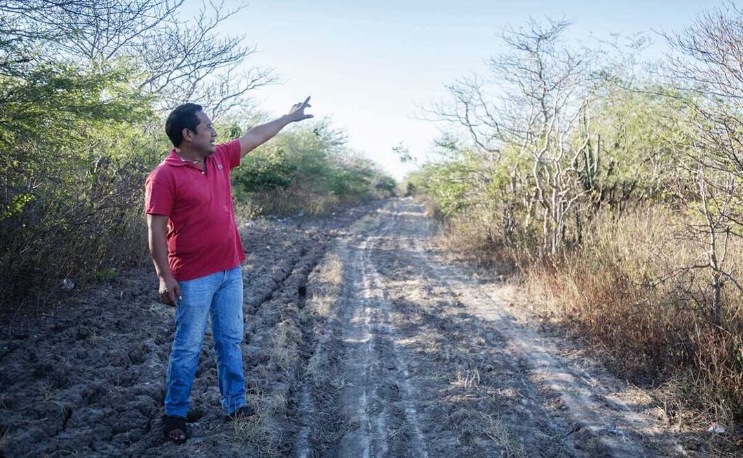Pide Front Line Defenders a México retirar cargos a activista contra polo del Interoceánico. Foto: Claus Mendoza