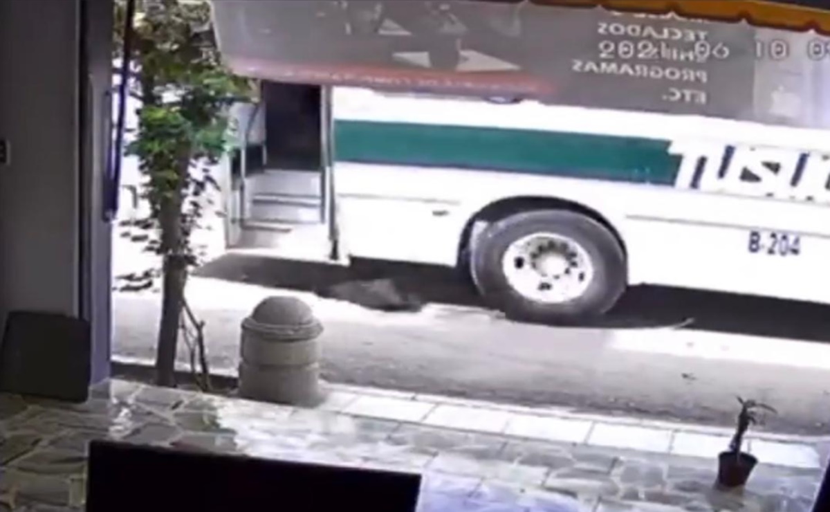 Chofer de transporte público arrolla intencionalmente a perrito en Oaxaca ; indagan crueldad animal