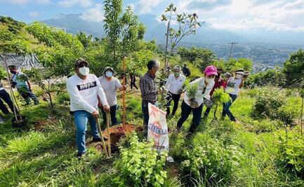 Ante invasiones en Cerro del Crestón, en la ciudad de Oaxaca, vecinos exigen diálogo con Semaedeso