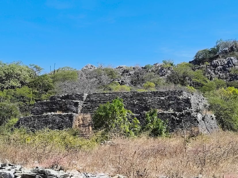 Foto: Juan Carlos Zavala EL UNIVERSAL