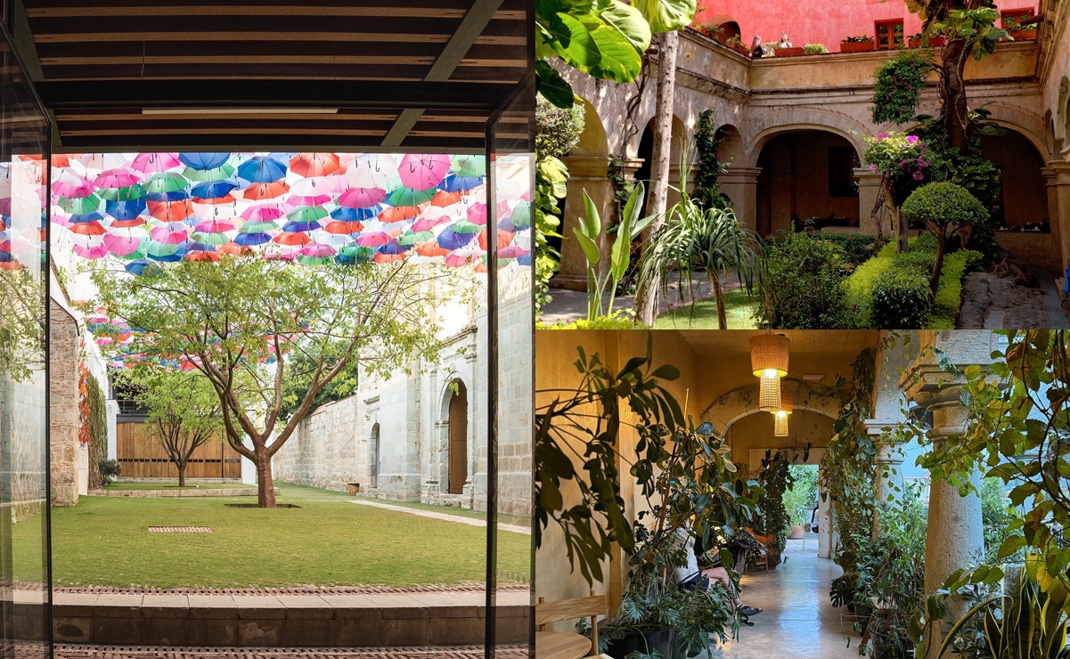 Los jardines secretos más bonitos de Oaxaca que parecen sacados de un cuento (y casi nadie conoce)