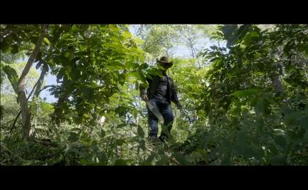 En el Día Internacional del Agua, lanzan campaña sobre conservación de ríos y afluentes en Oaxaca