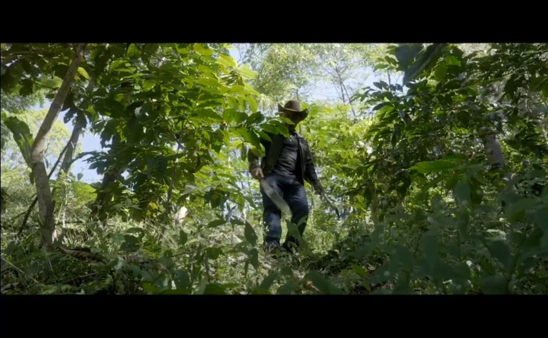 La WWF reconoce la participación de las comunidades oaxaqueñas en diversas actividades ambientales para hacer frente a la sequía. Foto: Captura de video