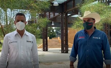 “Baratillo Oaxaca”: Lanzan plataforma para que productores del campo comercialicen en línea