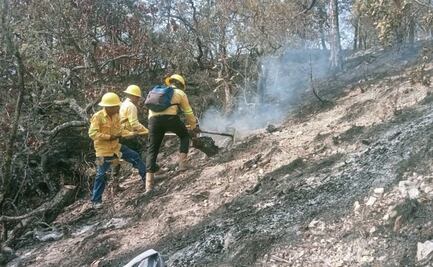 Controlan comuneros de Cahuacuá, y brigadas de Coesfo, incendio forestal en la Mixteca de Oaxaca