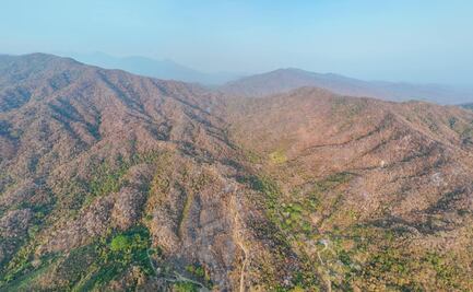 Más de 300 personas controlan fuego que consumía bosques de Huatulco, en Oaxaca