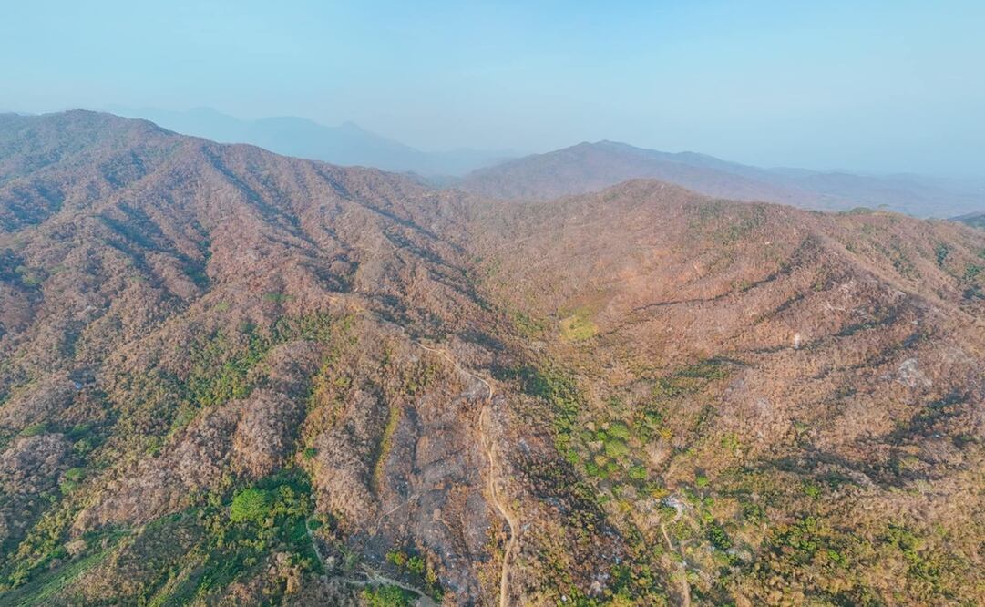 Más de 300 personas controlan fuego que consumía bosques de Huatulco, en Oaxaca. Fotos: Especiales