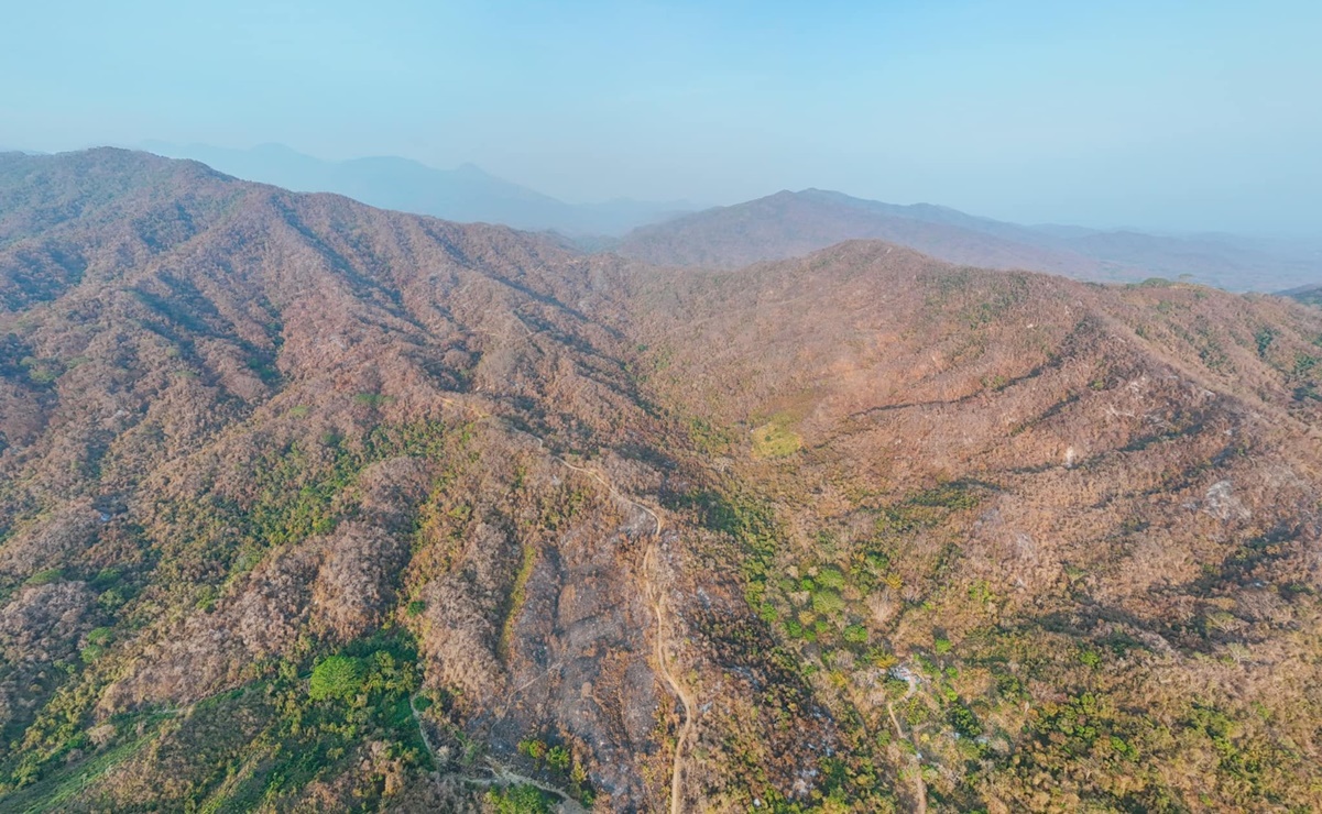 Más de 300 personas controlan fuego que consumía bosques de Huatulco, en Oaxaca. Fotos: Especiales