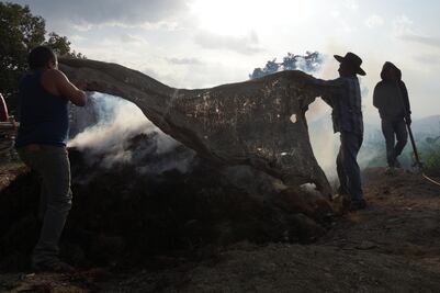 Desaparecen tres turistas oaxaqueños en la ruta del mezcal