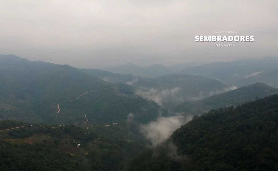 Amapola en la Sierra Mixe de Oaxaca: el embarcadero estratégico al Golfo de México y el Transístmico