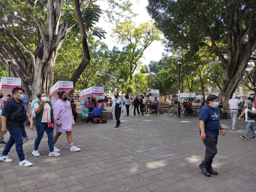 Foto: Mario Arturo Martínez / EL UNIVERSAL