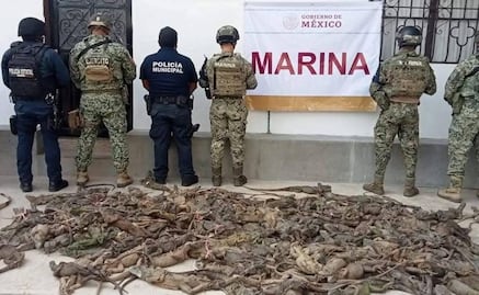 Decomisan decenas de iguanas en terminal camionera de Matías Romero, Oaxaca