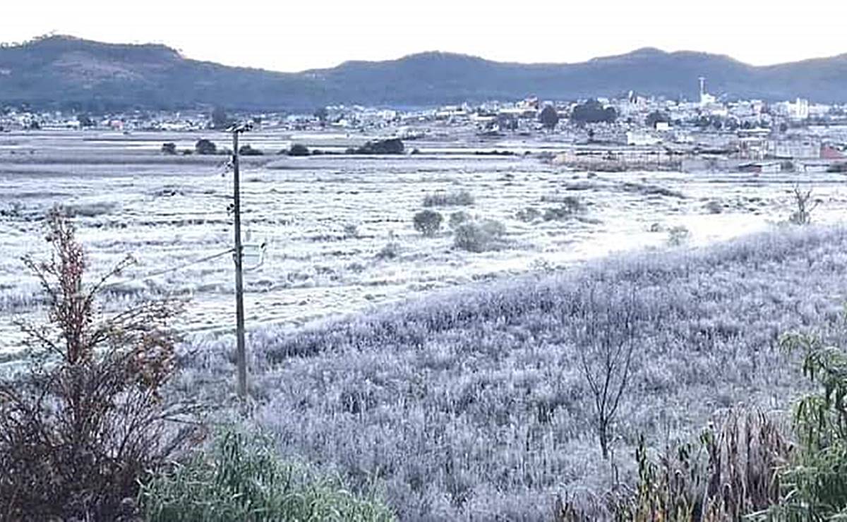 Pegan primeras heladas en la Mixteca de Oaxaca; temperaturas llegan a -4 °C
