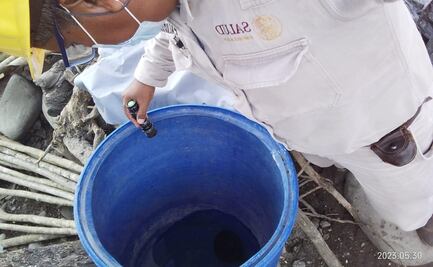 Tras denuncias, Servicios de Salud de Oaxaca controlan presunto brote de dengue en Usila