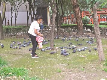 El silencio del 68 que pesa en Tlatelolco