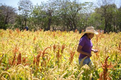 En México, la tierra no es de las mujeres: sólo hay 26% de ejidatarias
