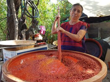 Achiote: Mujeres del Istmo dan color a la tradición