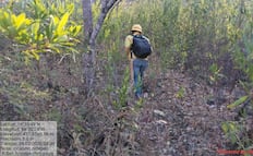 Se registra nuevo incendio en San Miguel Chimalapa, Oaxaca; el cuarto en esta zona zoque 