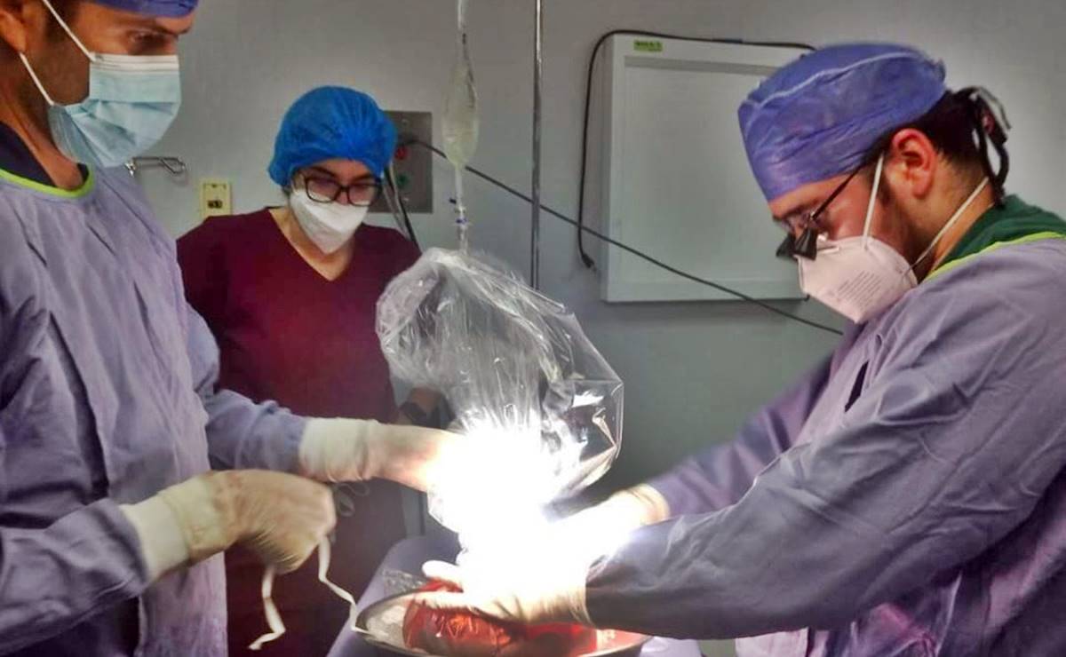 En Oaxaca 94 personas esperan un trasplante de órgano o tejido, reportan los SSO