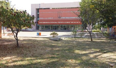 UABJO acuerda único periodo de evaluación para salvar ciclo escolar ante pandemia de Covid-19