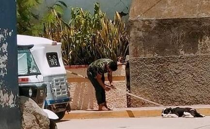 Indigna caso de hombre que mató a perrito por quitarle la comida a su hija en Apóstol, Oaxaca