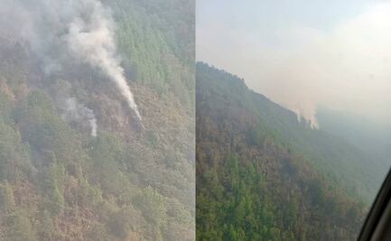 Dos incendios se extienden en selva de Los Chimalapas en Oaxaca; suman 6 en el año