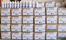 Reclaman al Gobierno de Oaxaca por retraso en campaña contra la mosca de fruta; debía llegar en octubre