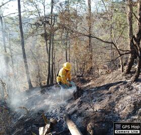 Controlan incendio en bosques de Ayutla, en la Sierra Norte de Oaxaca
