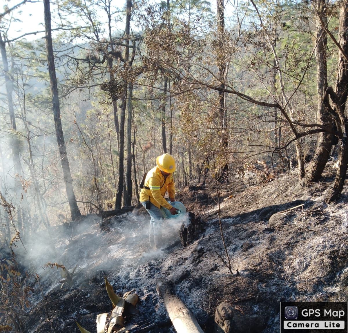 Controlan incendio en bosques de Ayutla, en la Sierra Norte de Oaxaca. Foto: Especial
