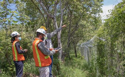 Descarta Profepa contaminación de minera en Magdalena Ocotlán