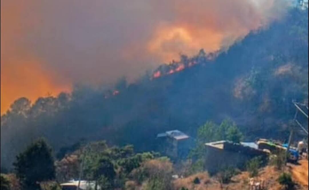 Incendio forestal en Peroles, Oaxaca. Foto: Especial