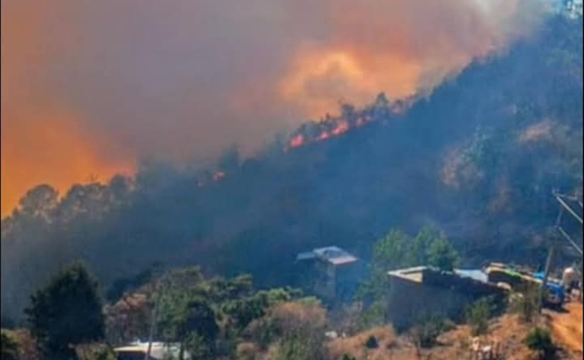 Mueren dos personas mientras combatían el incendio forestal en Santa María Peñoles, Oaxaca