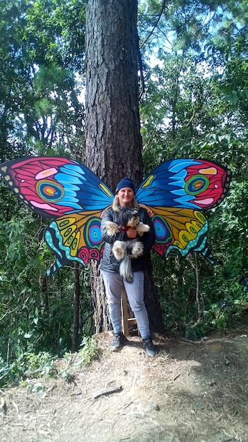El Bosque Encantado en Oaxaca es un lugar ideal para relajarte y conectar con la naturaleza. Foto: Fb@ El bosque encantado